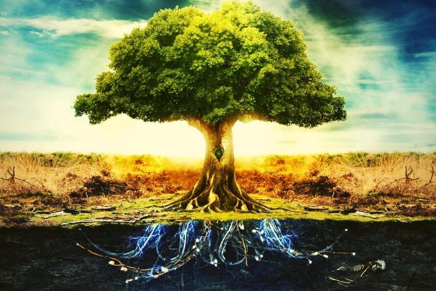 arbre de vie signification du symbole porte-bonheur