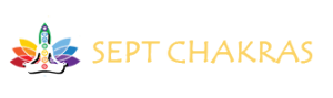 Logo orange sept chakras